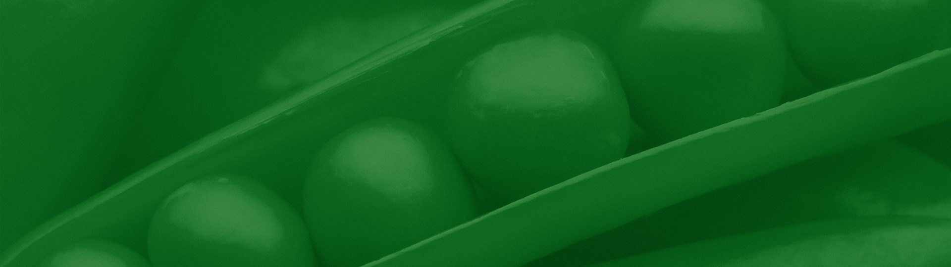 KATJESGREENFOOD