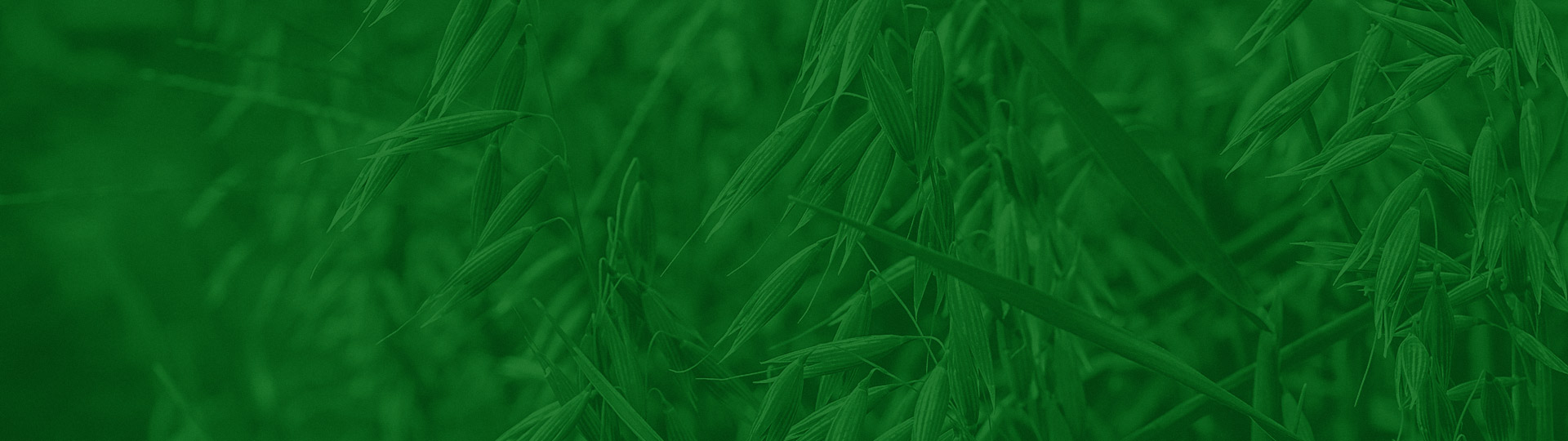 KATJESGREENFOOD
