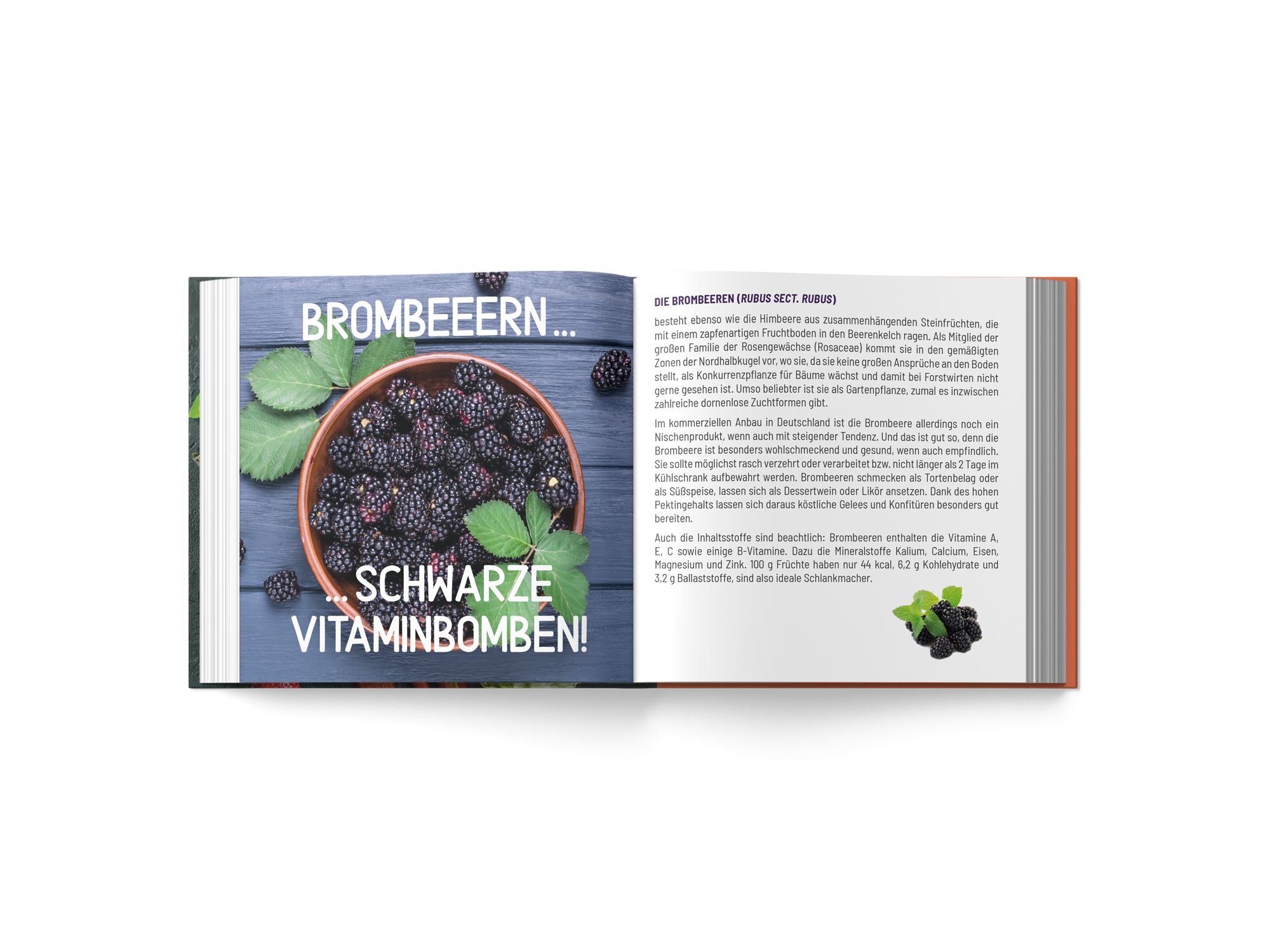 mini cookbook 
